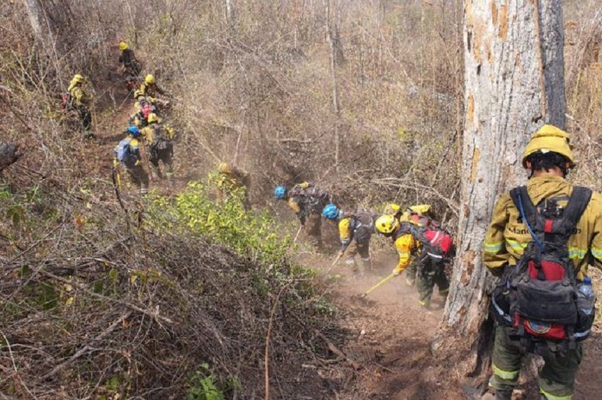 Las Provincias De Jujuy Y Salta Contin An Con Focos Activos De