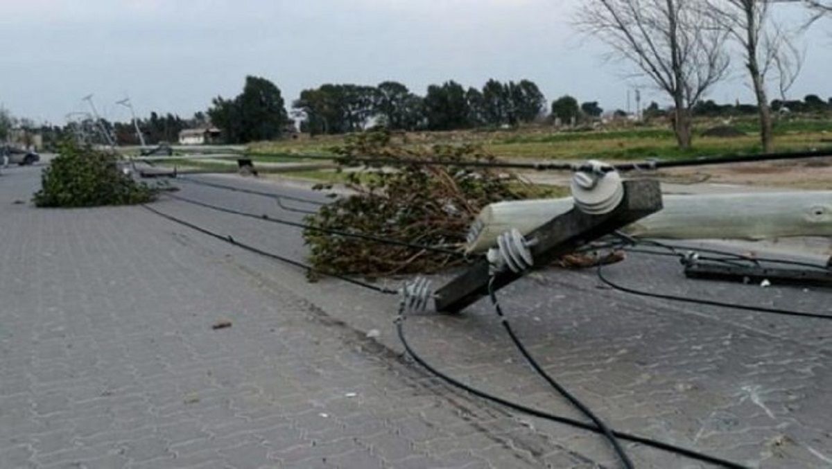 Bahía Blanca caída de ramas y árboles y cortes de luz por temporal de