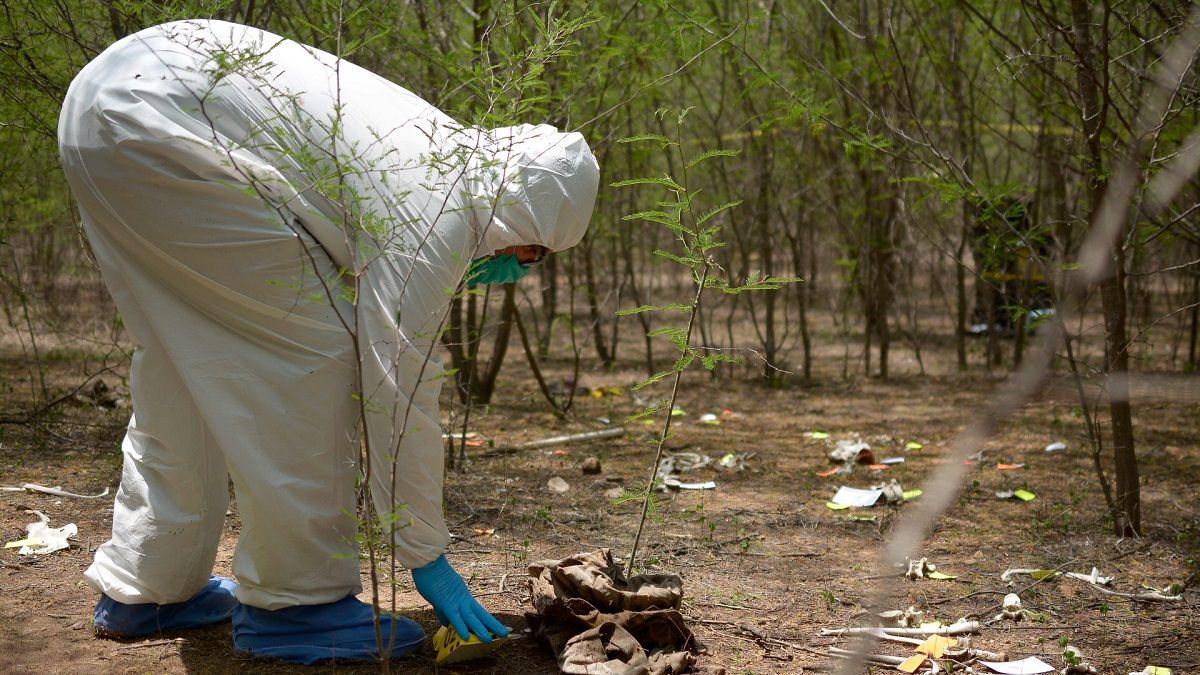 Encontraron Bolsas Con Restos Humanos En Una Fosa Clandestina En M Xico