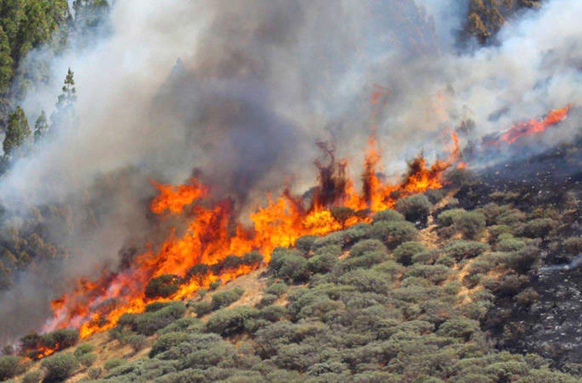 Incendio Gran Canaria