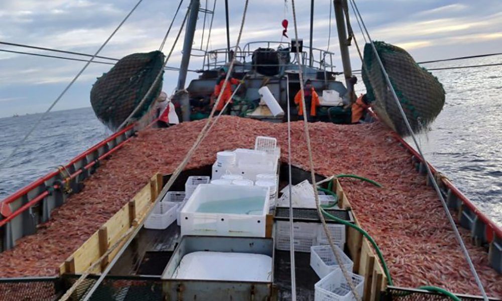 Se acordó con dos cámaras, un aumento del 43% para los marineros