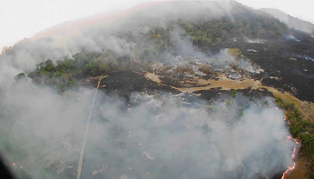 Tras 20 días de incendio, el Gobierno de Brasil analiza enviar al Ejército