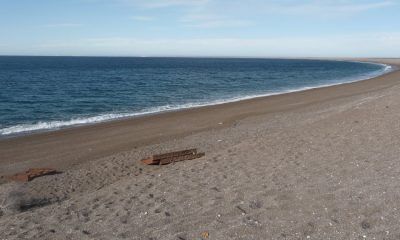 Por marea roja, se vedó la extracción de moluscos en Puerto Lobos