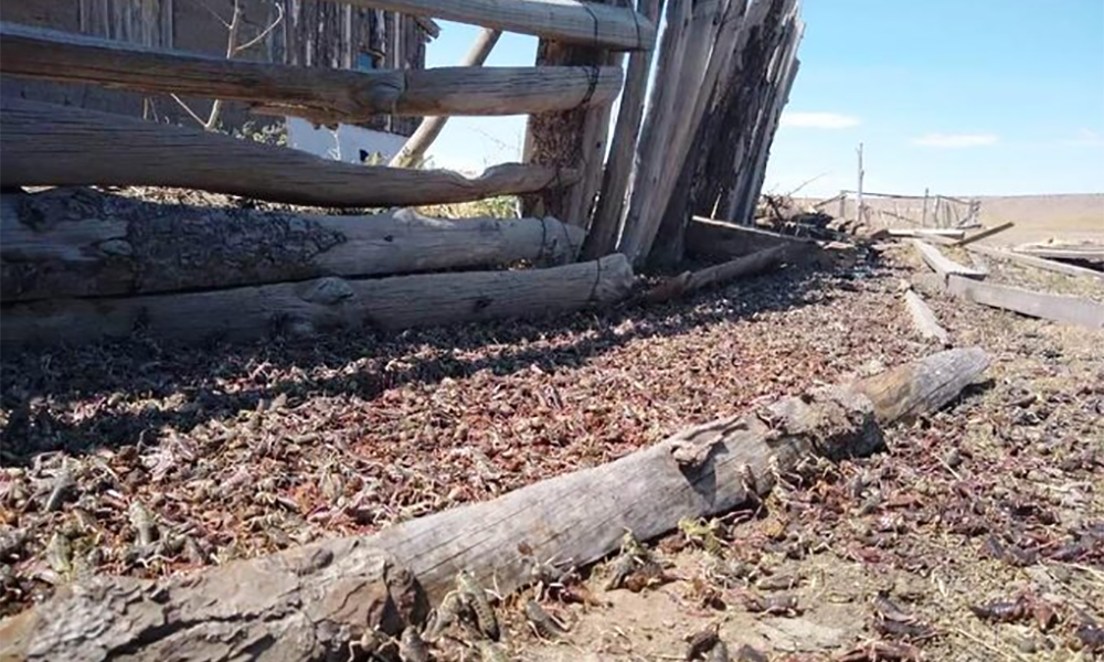 Esquel: Cáritas coleta agua y lavandina para los vecinos de Cushamen