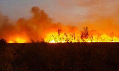 El Doradillo incendio