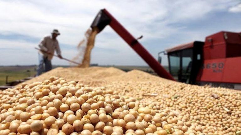 La soja y el trigo tuvieron un saldo semanal negativo, mientras que el maíz creció