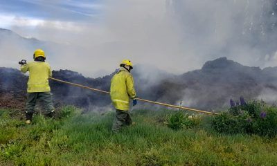 Incendio detrás de un Jardín de Infantes en El Hoyo