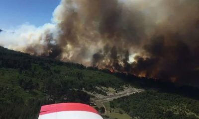 Incendio forestal en Neuquén