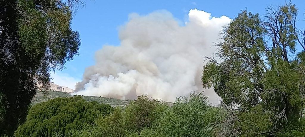 Incendio en PN Los Alerces