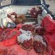 Secuestro de carne de guanaco en Puerto Madryn