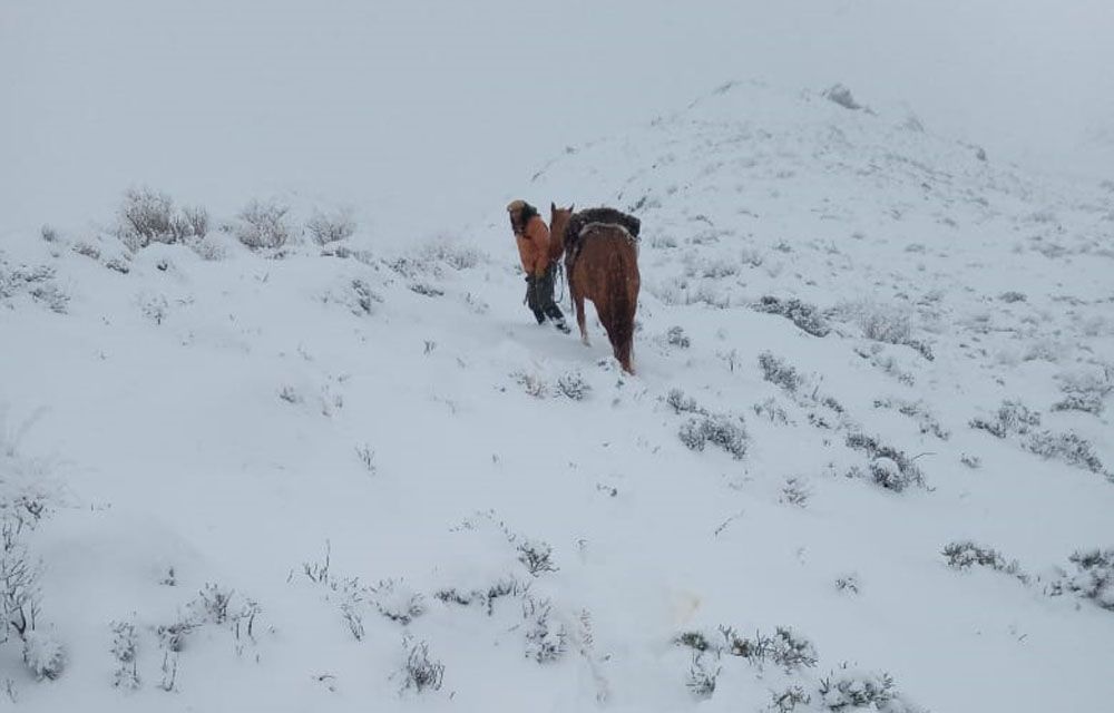 Pobladores cercanos a Aldea Epulef aislados por la nieve piden asistencia