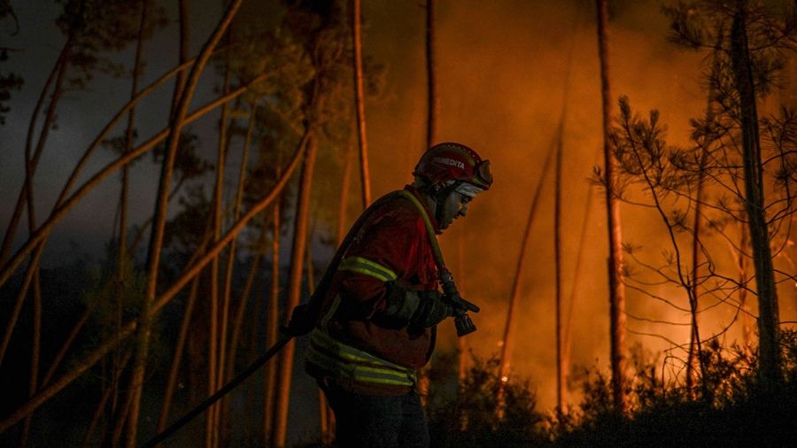 Portugal declarou estado de contingência devido a incêndios florestais