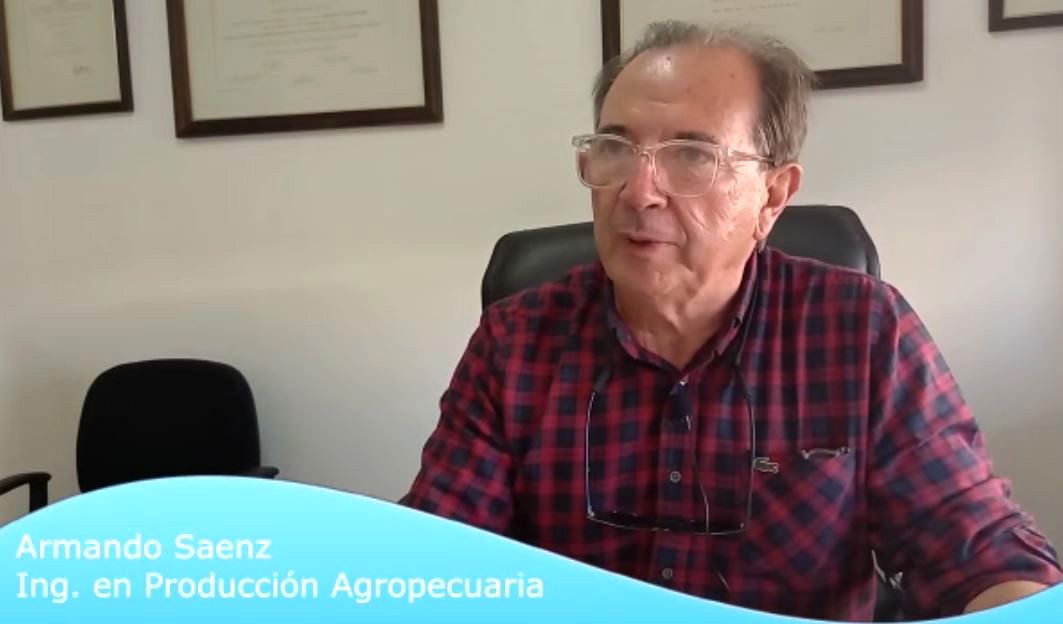 Armando Saenz. producción ovina