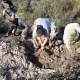 Hallazgo de fósiles en Río Negro