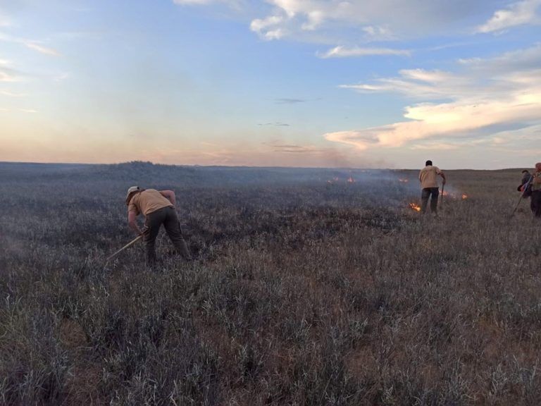 Controlaron el fuego en la zona de Península Valdés