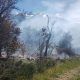 Incendio forestal en Los Cipreses