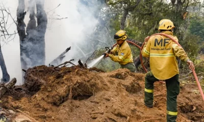 Incendios en Tolhuin