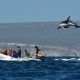 Turismo en Puerto Madryn