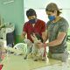 Campaña vacunación antirrábica y desparasitación para perros y gatos en Puerto Madryn