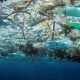 Contaminación en océanos