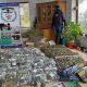 Secuestro de marihuana en El Hoyo