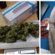 Secuestro de marihuana y LSD en Terminal de Ómnibus de Esquel