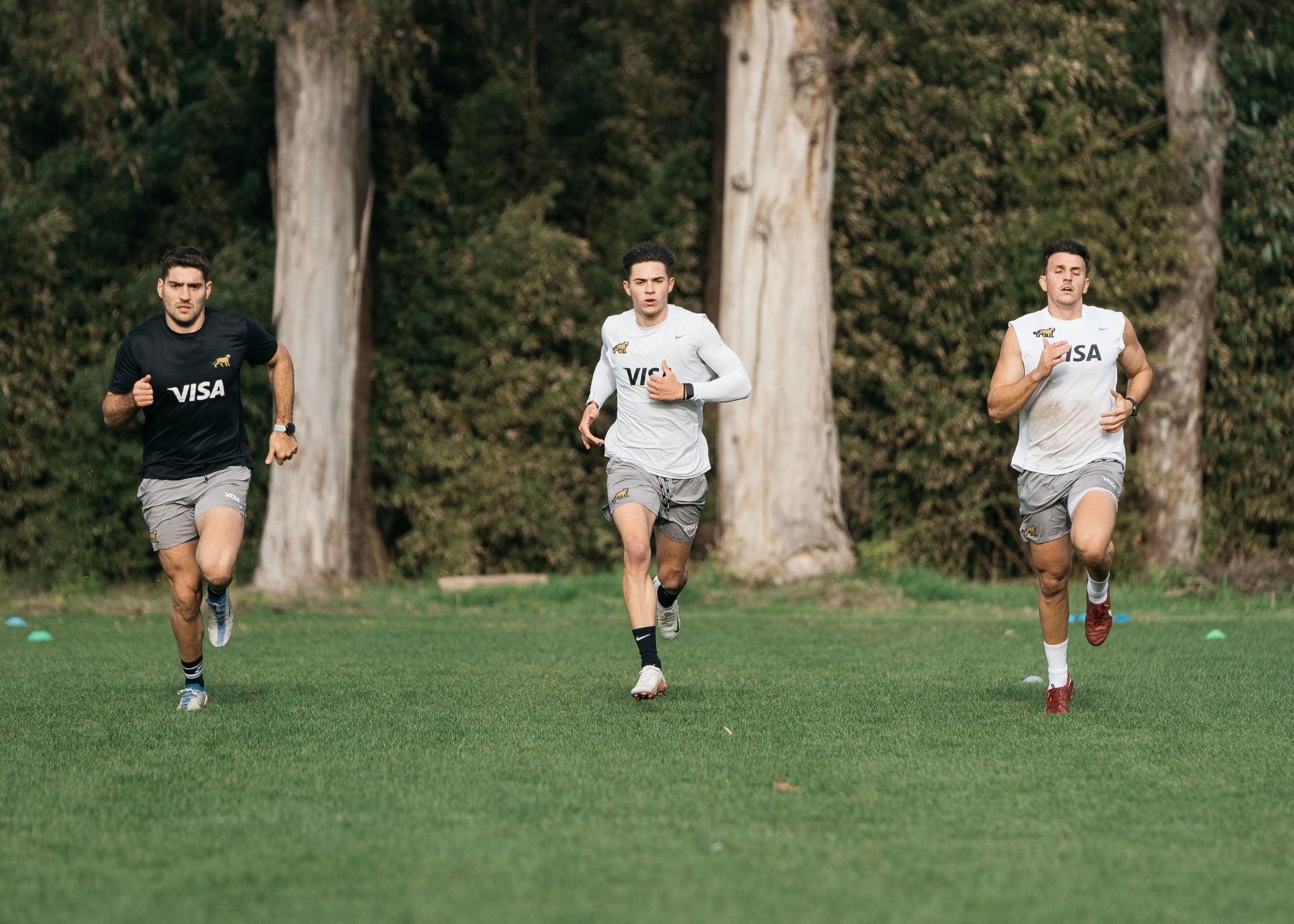 Los Pumas 7s Volvieron A Los Entrenamientos   El Litoral