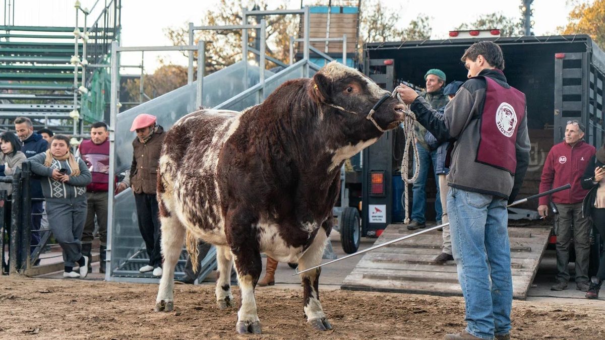 Comenzará una nueva edición de la Exposición Rural de Palermo - Radio 3 ...