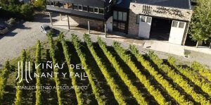 Viñas del Nant y Fall