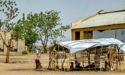 Más de 1.200 niños fallecieron en campos de refugiados en Sudán