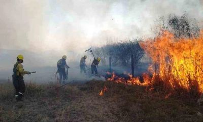 Jujuy registra el único incendio forestal activo del país
