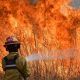 No se registran incendios forestales activos en el país