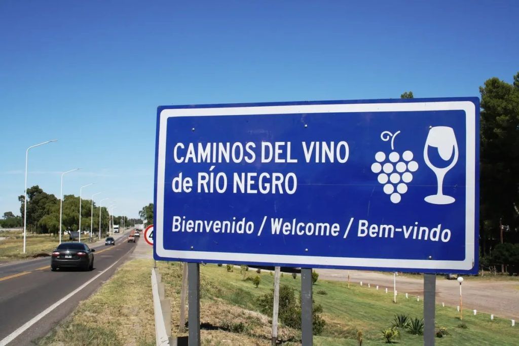 Caminos del Vino. Foto: Aires de Santa Fe.