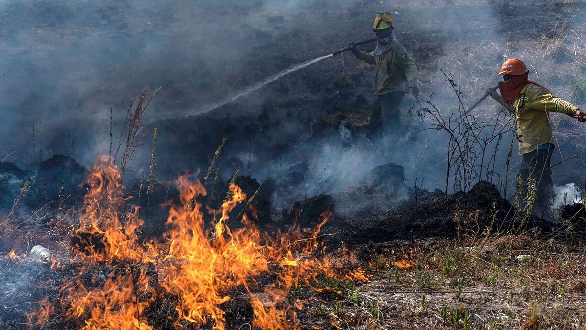 Dos Provincias Con Focos De Incendios Forestales Activos Radio 3 Cadena Patagonia 3126