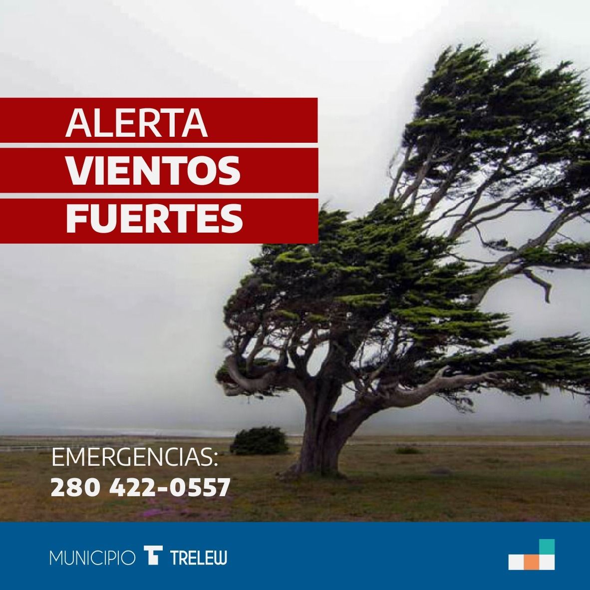 Alerta por vientos fuertes en Trelew medidas de precaución del