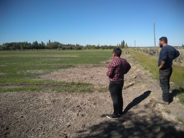Trelew trabaja para activar hectáreas improductivas