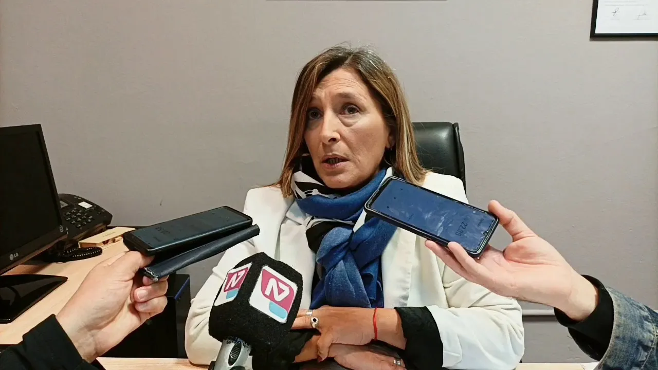 Concejo Municipal, Puerto Madryn, debate, tarifas de energía, controversia, polarización política, sesión intensa, oposición, oficialismo