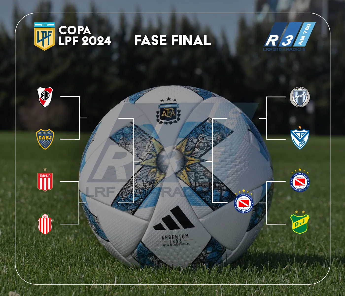 Cuartos de final de la Copa de la Liga Profesional.