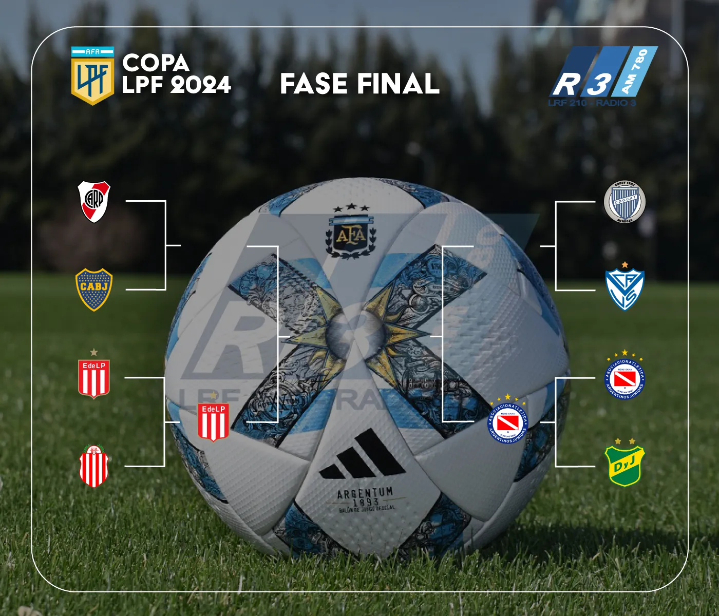 Cuartos de final de la Copa de la Liga Profesional.