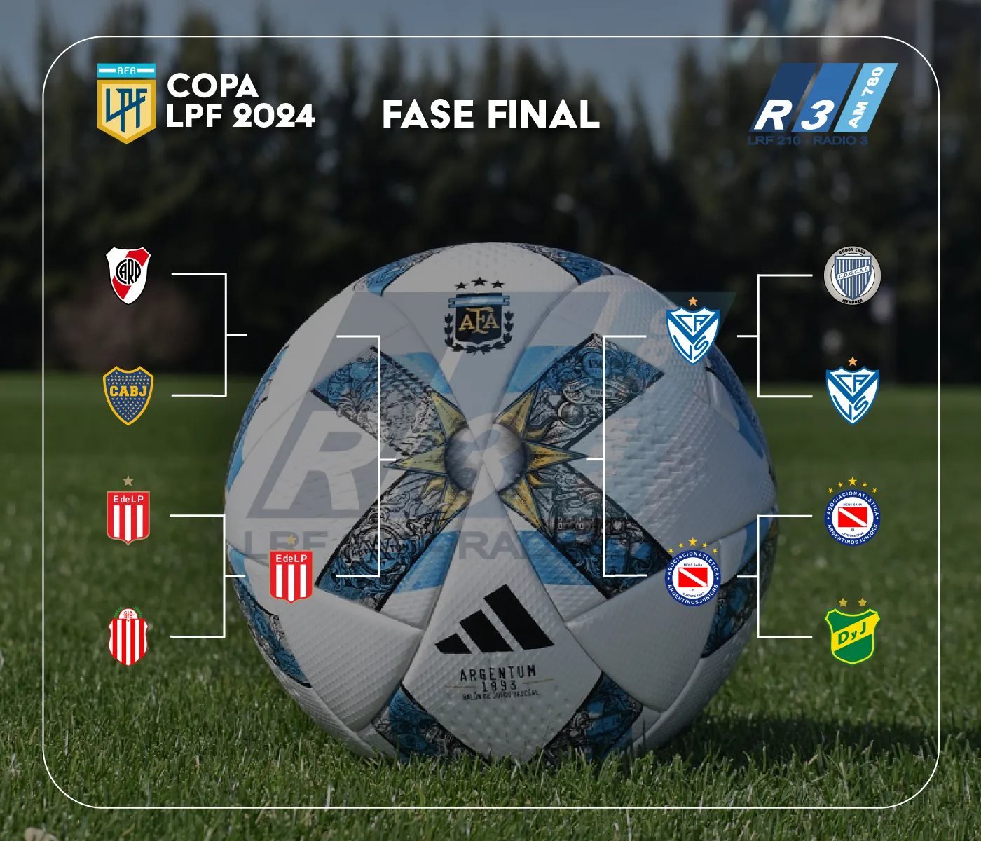Cuartos de final de la Copa de la Liga Profesional.