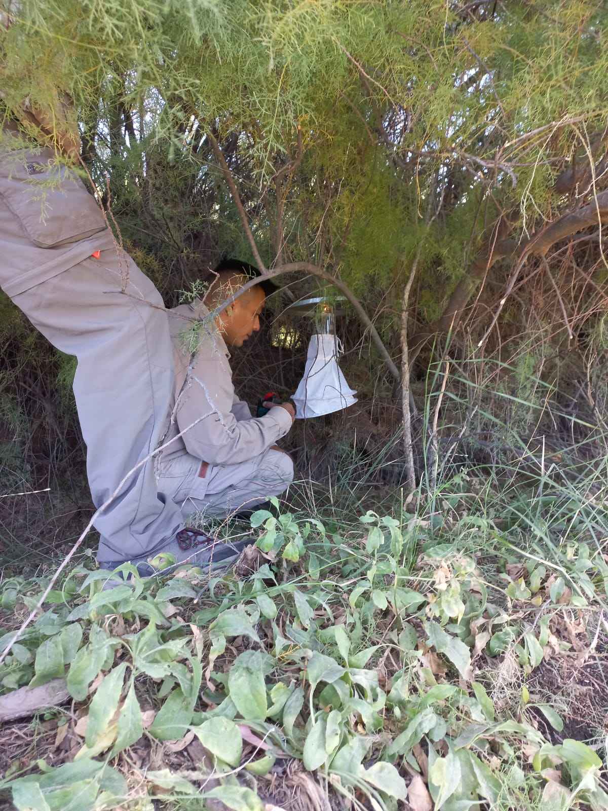 Provincia intensifica la prevención ante el brote de Encefalitis Equina