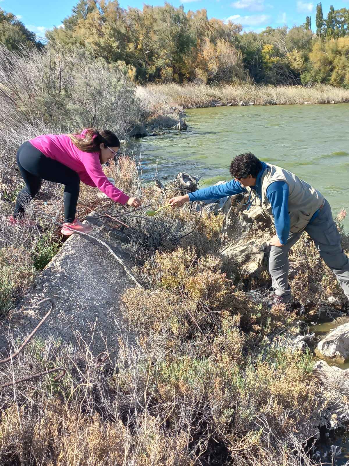 Provincia intensifica la prevención ante el brote de Encefalitis Equina