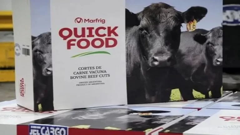 Por primera vez se exportó carne libre de deforestación