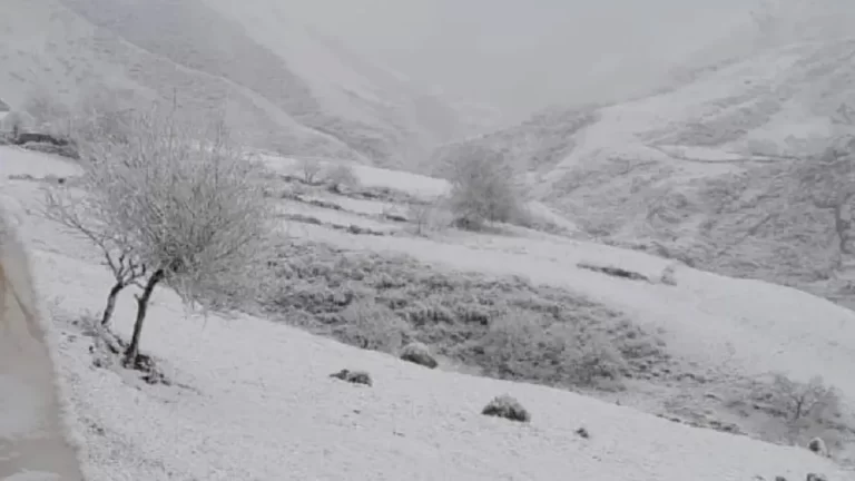 MIRÁ EL VIDEO | Una inusual nevada tiñó de blanco a Tilcara