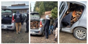 Operativo de seguridad rural en Trevelin: decomisan drogas y leña