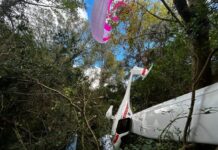 Cayó una avioneta en uruguay