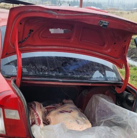 Trasladaba media res de bovino sin autorización de traslado