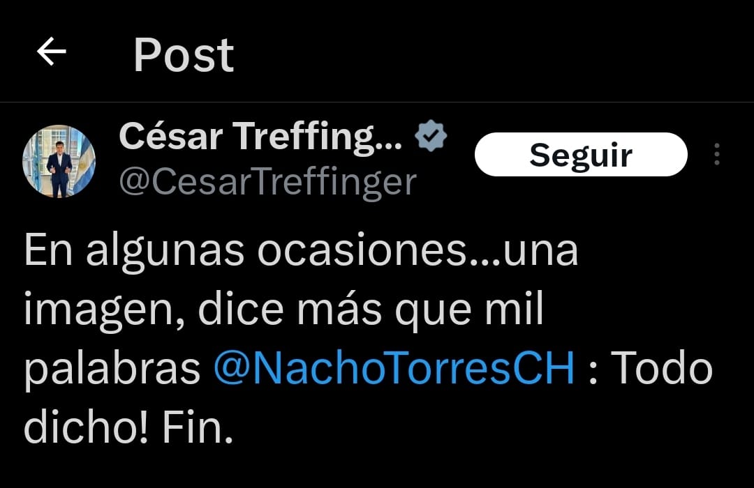 Treffinger, Torres, diputado nacional, gobernador de Buenos Aires, relación política, discrepancias, postura libertaria, salud pública, Congreso, ruptura