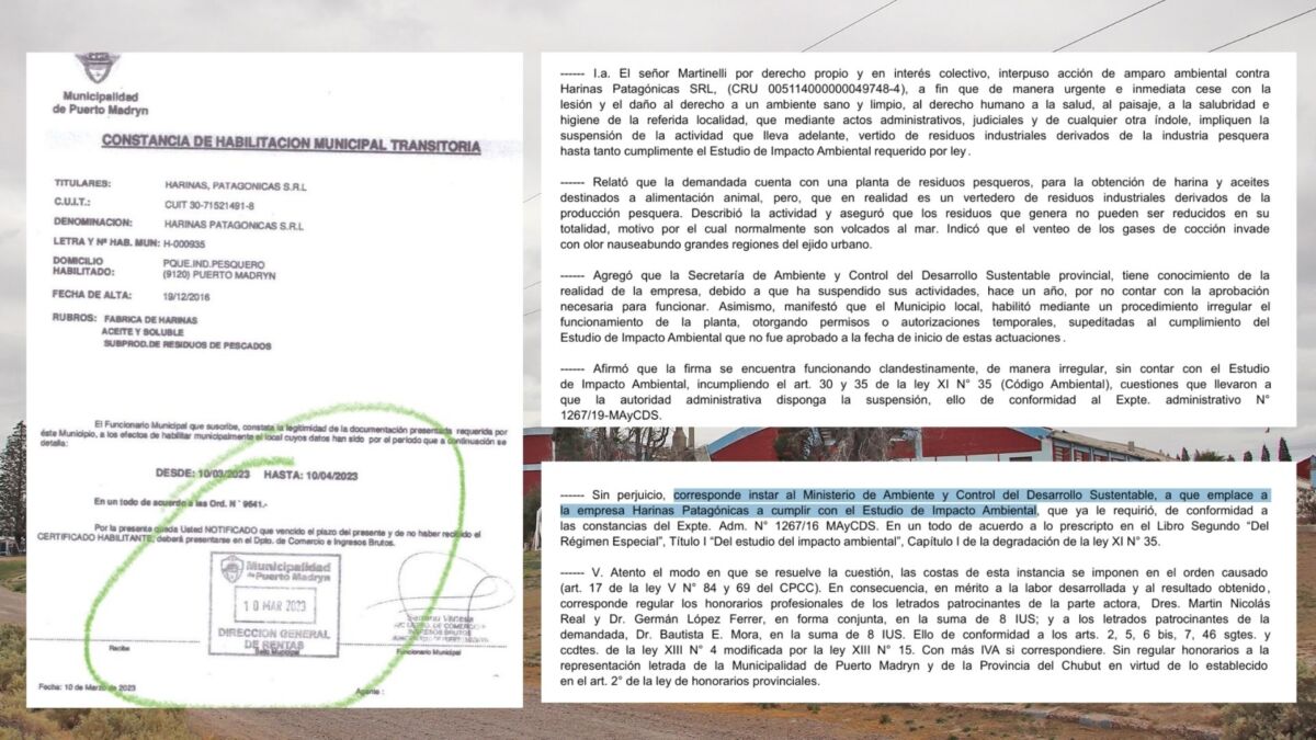 Puerto Madryn y los desechos pesqueros: el riesgo de la planta procesadora acusada por contaminación