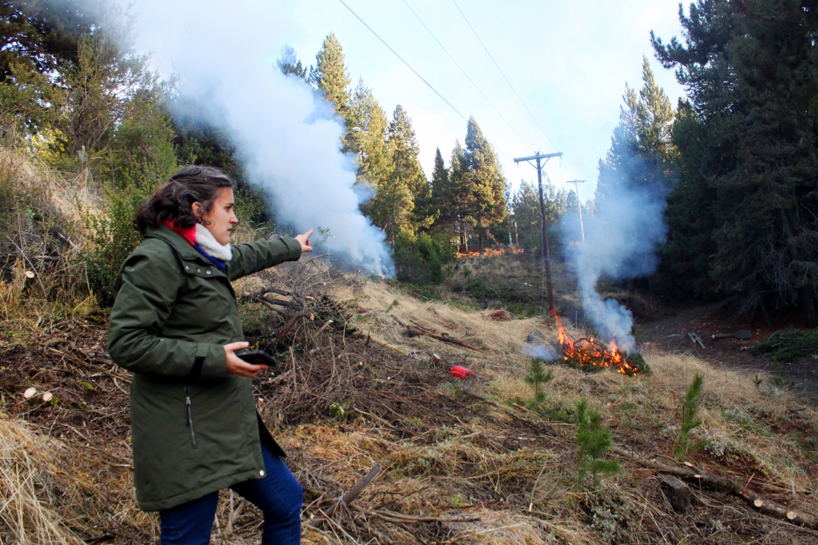 Realizaron tareas de poda preventiva en Esquel